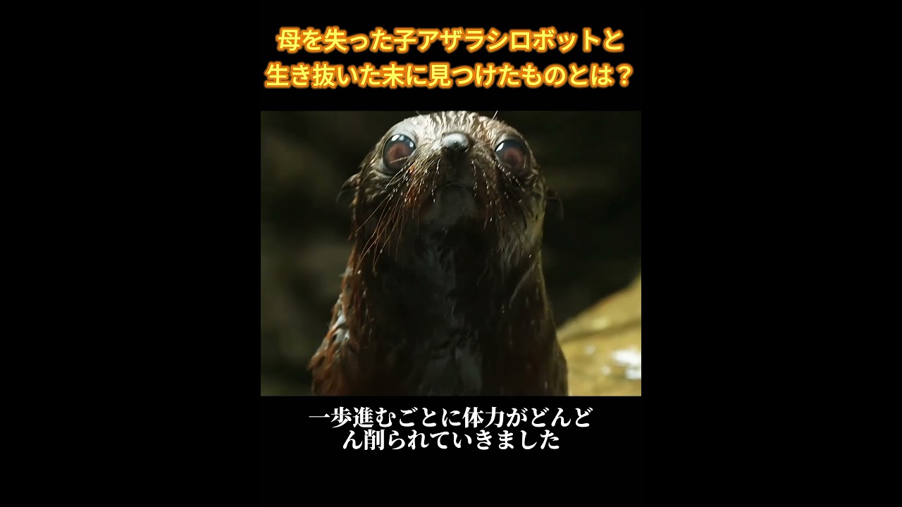 嵐の一つ、遅れをとった瞬間、人種を超えた友情#犬 #動物世界 #動物 #面白い #funny