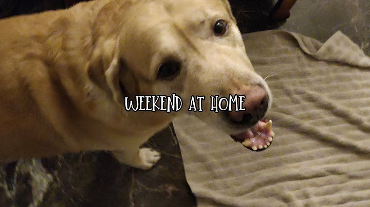 Random Vlog 3 | A weekend at home+Blowdry | Just to live
