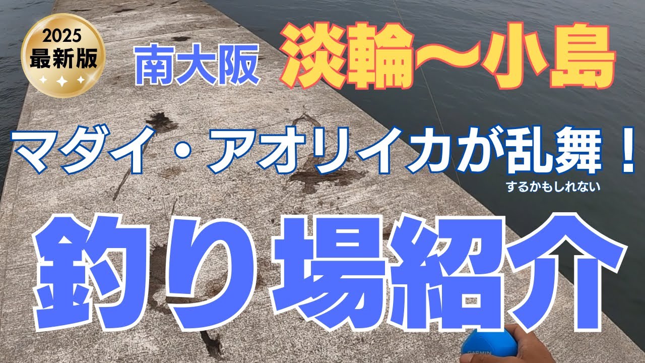 【南大阪/淡輪～小島】真鯛にアオリイカ、タチウオが狙える釣り場はここだぁ！ 2025年最新釣り場紹介 #04