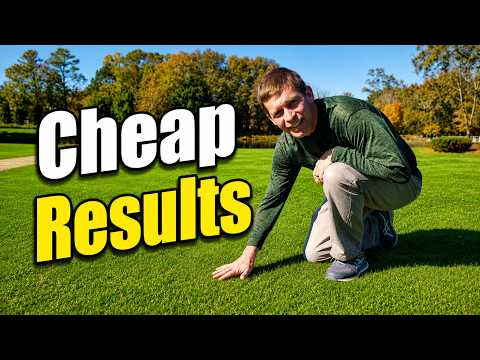 Kill 95% of Weeds for Less than a Cup of Coffee