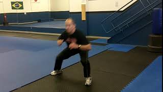 Lateral Leapfrog Squat