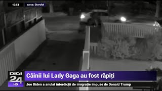 Momentul În Care Câinii Lui Lady Gaga Au Fost Răpiți, După Ce Cel Care Îi Plimba A Fost Împușcat