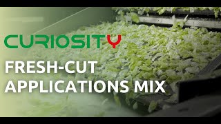 Curiosity Optical Sorter: Fresh-Cut Applications Mix | RAYTEC VISION SpA