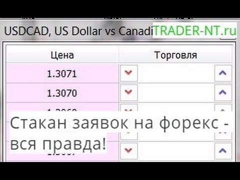 Вся права о форексе forex для htc p3300