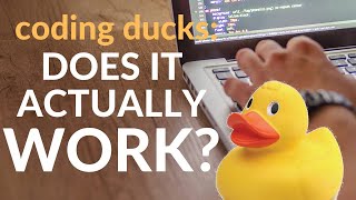Does Rubber Duck Debugging Actually Work? (coding ducks) screenshot 4