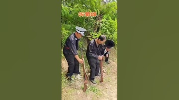 Thumbnail of Red songs always praise the military and civilians. Song of Yimeng. Recommended hot songs on Dou