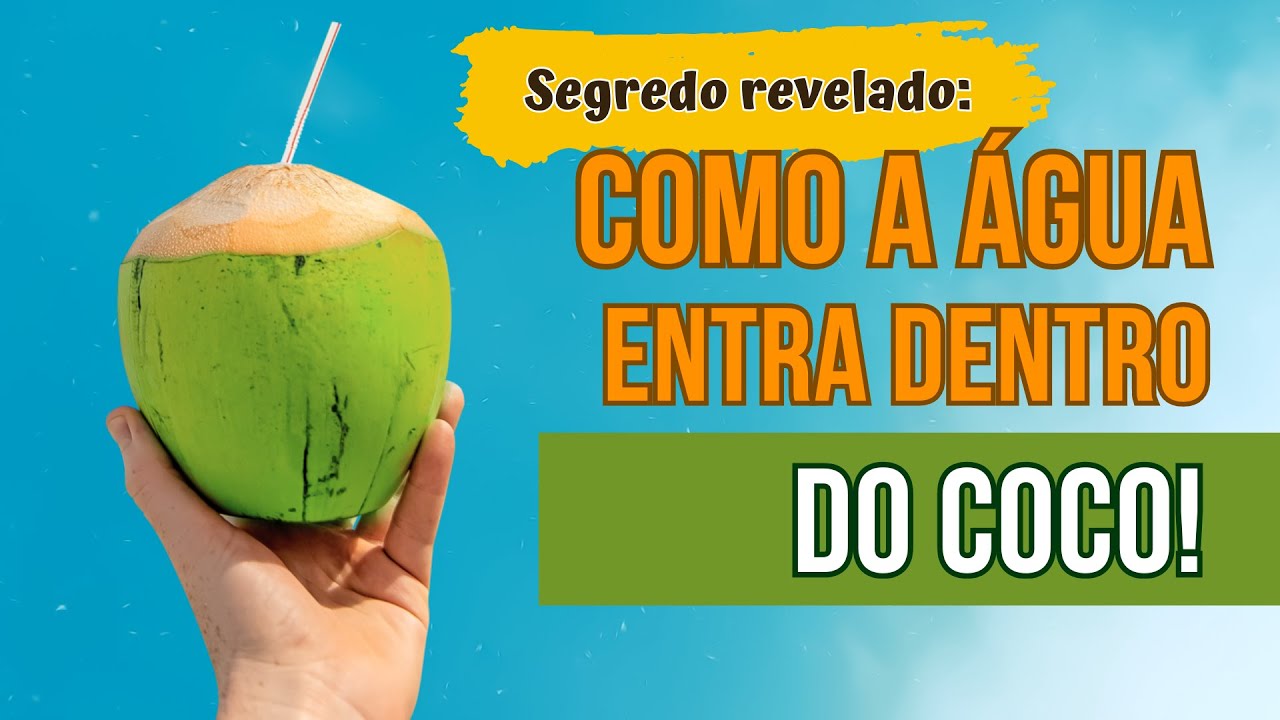 Como a água entra no coco? - YouTube