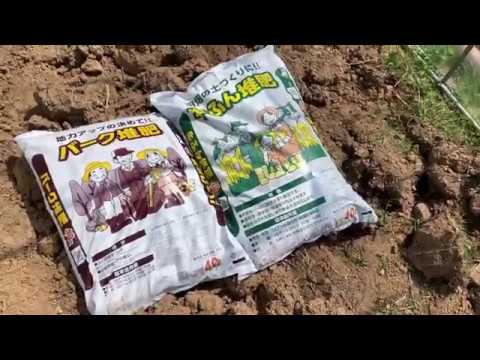 動画で家庭菜園 新規ビニールハウス 土壌改良 バーク堆肥 完熟牛糞堆肥投入 19 4 21 Youtube