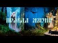 ПРАВДА ЖИЗНИ новый фильм 2020 Мудрость и истинные знания от Волхвов древней Руси Иван Царевич