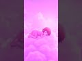 ラベンダー畑で眠る少女 / Girl Sleeping in a Lavender Field
