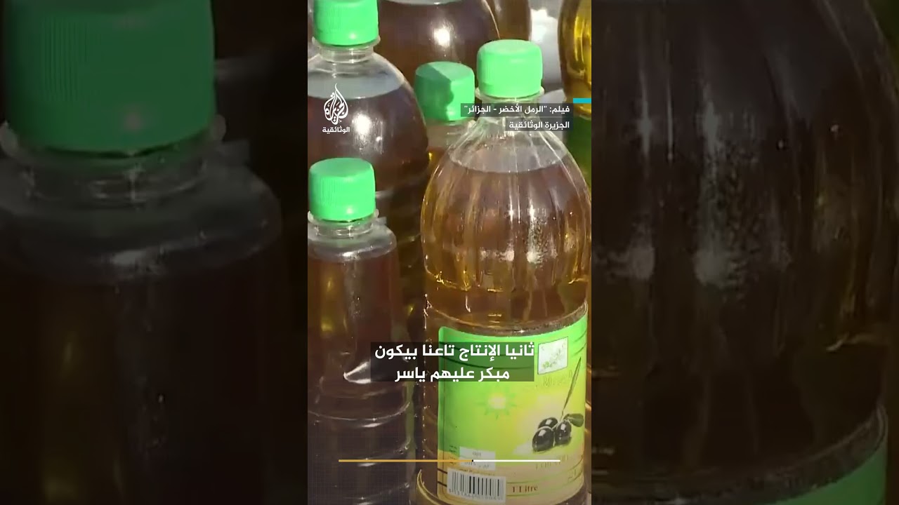 يُنتج زيتا بجودة استثنائية.. ما الذي يميز زيتون وادي سوف في الجزائر؟