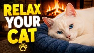 Fireplace Ambience for Cats with Anxiety | Calming Music & Crackling Fire 🔥🐾: