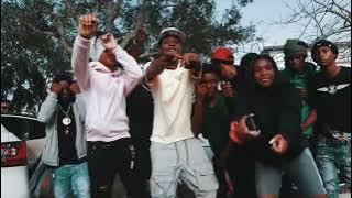 Sqweez - Wildcat
