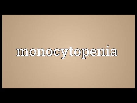 Monocytopenia Meaning @adictionary3492