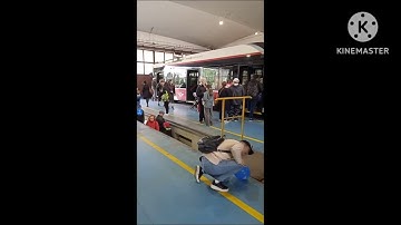 Scan Vs Round 4278-6095 3 Videos