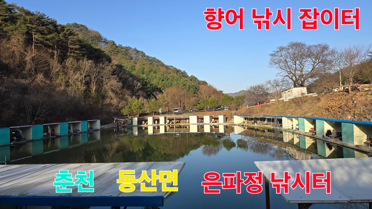 숲속의 낚시터 춘천 동산면 은파정 낚시터 향어 낚시 잡이터
