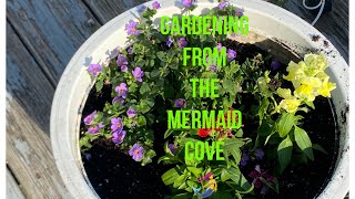GARDENING AT THE MERMAID COVE! #adhd #add #plus-size #garden #flowers