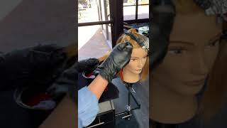 Continuing pre-pigmentation