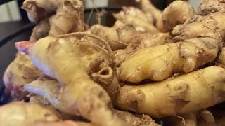 How to select the right  Ginger Rhizome to propagate  a plant at home.
