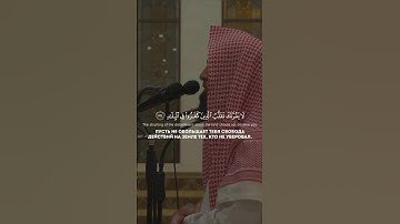 {لا يغرنك تقلب الذين كفروا في البلاد}سورة آل عمران الشيخ محمد اللحيدان❤️