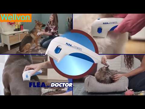 FLEA DOCTOR -