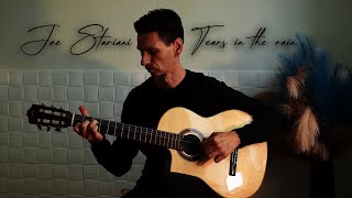 Joe Satriani - Tears in the rain (cover) |  Viktor P