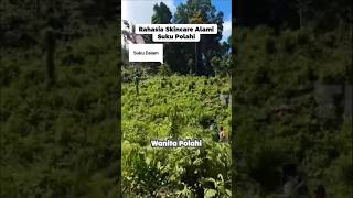 skincare alami! #faktaunik #hutan #suku #nusantara