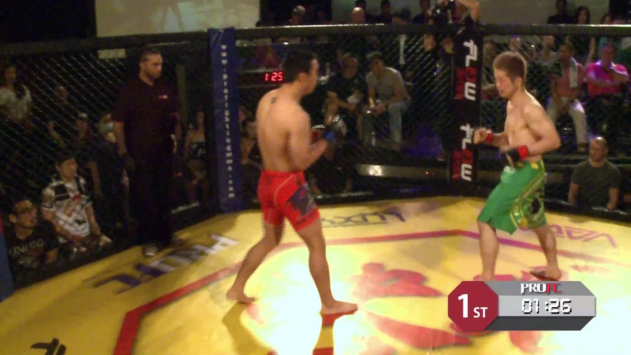 PRO FC 9: Hyeung Seok Lee vs Koji Takeuchi