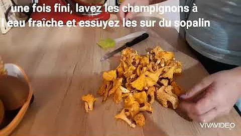 Comment nettoyer les chanterelles grises ?