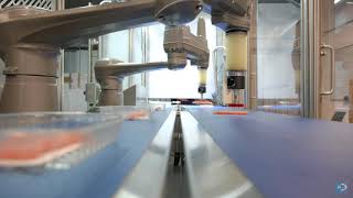 Robotic Food  Packaging Cell   HFPC 120
