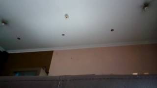 Parodi home alone with zildan SARAZ