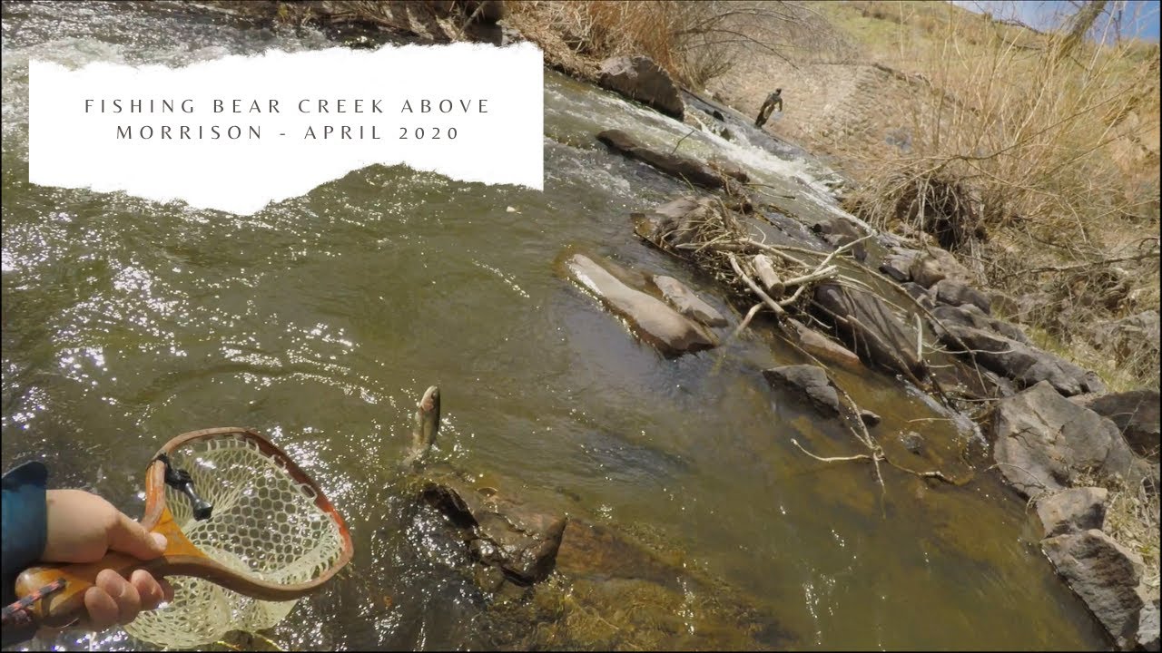 Small Stream Light Rod Big Fun Fly Fishing Bear Creek Above Morrison April 2020 Youtube