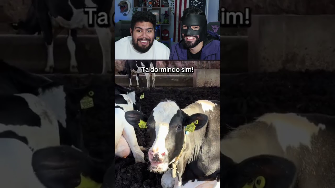 TA DORMINDO SUELI?