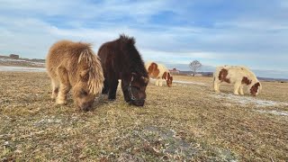 頼もしいお父さんが作ってくれる穏やかな1日