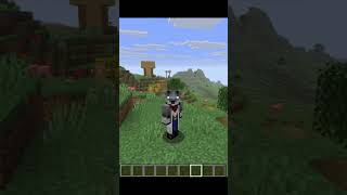 Warum deine Minecraft-Commands NICHT funktionieren! 🐺🚫