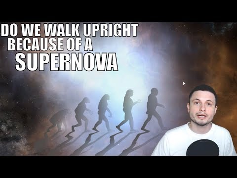 This Study Suggests Supernovae Led To Humans Walking Upright
