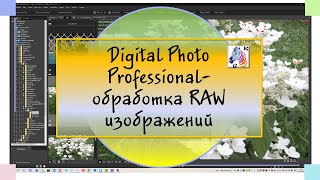 Digital Photo Profession обработка RAW изображений с фотоаппарата Canon