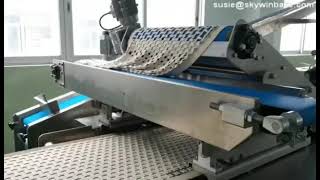 hello panda biscuit line, Bear Biscuit production Line, Cocomo Biscuit making Machine