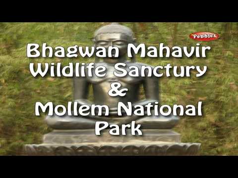 Videó: Bhagwan Mahavir Wildlife Sanctuary leírása és fotók - India: Goa