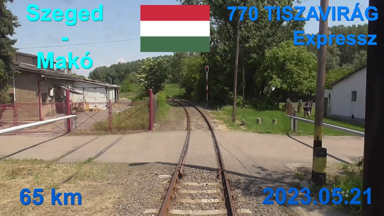 Route Szeged-Algyő-Hódmezővásárhely-Földeák-Makó, 770 TISZAVIRÁG EX (Szeged-Makó)
