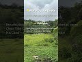 1 Acre Premium Mountain-Touch Plot in Lonavala