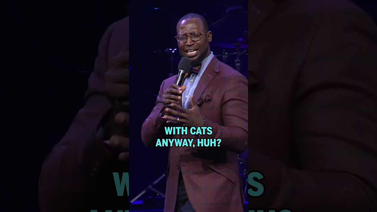 Доказательство того, что коты правят миром… 