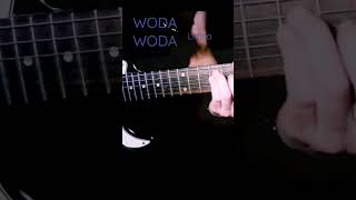 WODA WODA - Litfiba #guitarcover #ghigorenzulli #litfiba #wodawoda