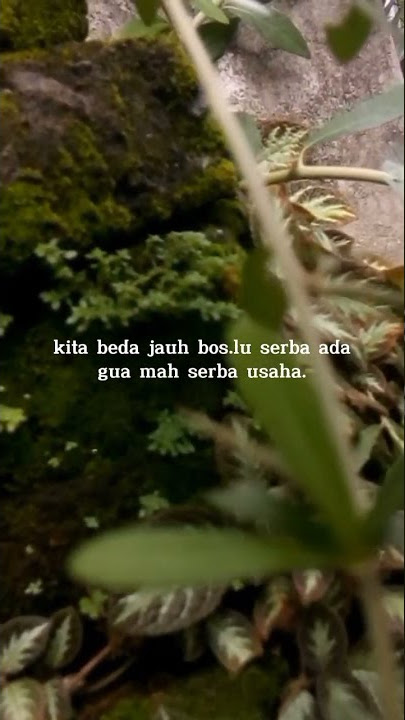 kata kata keren/stry wa #pejuang