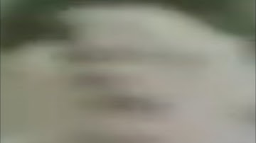 Weird Al Discography: Polkas on 45 but every time a word is repeated it loops (1/4)