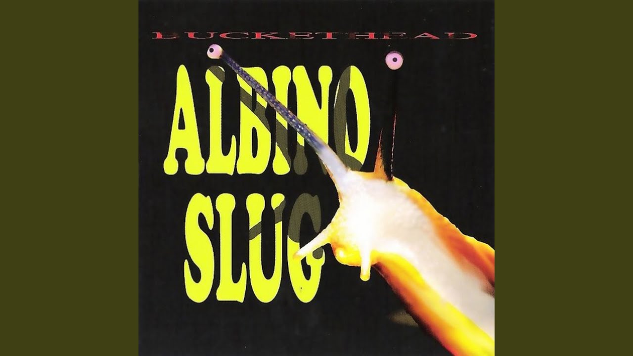 Symmetrical Slug - YouTube