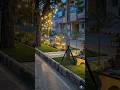 Before vs After: Trash Filled Roadside to Stunning Public Park Timelapse