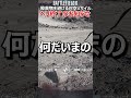 【ヘリ終了のお知らせ】BF6の対空ミサイルやばすぎだろ...【バトルフィールド6 Battlefield6】 #battlefield6 #shorts