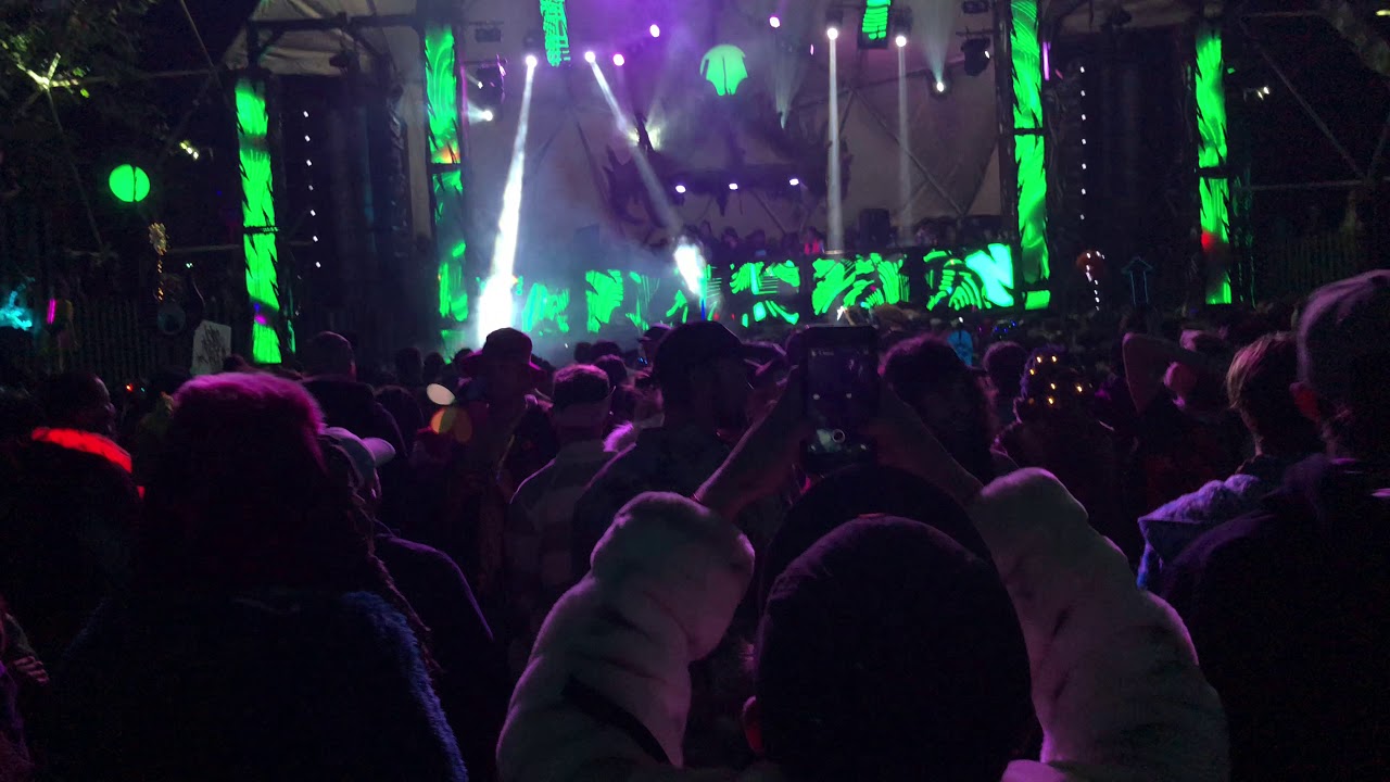 Delta Heavy- Shambhala 2018 4K