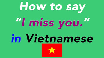 How to say “I miss you.” in Vietnamese | How to speak “I miss you.” in Vietnamese